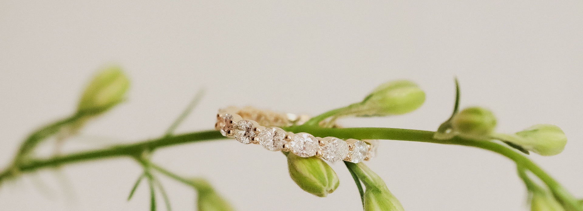 Row Oval Eternity Rings